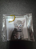 Tarjetas de animales