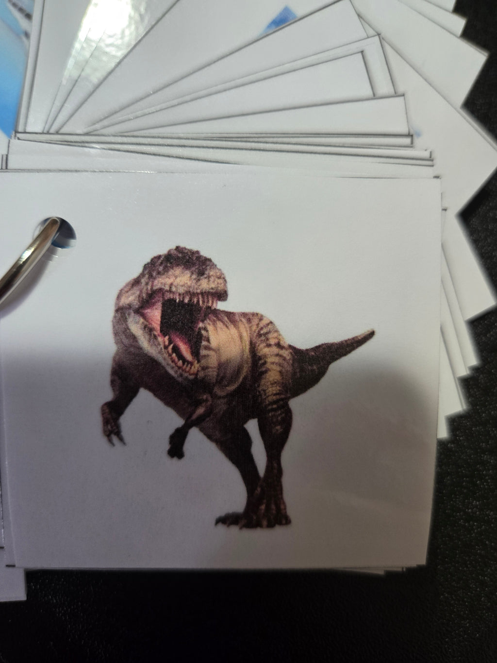 Tarjetas