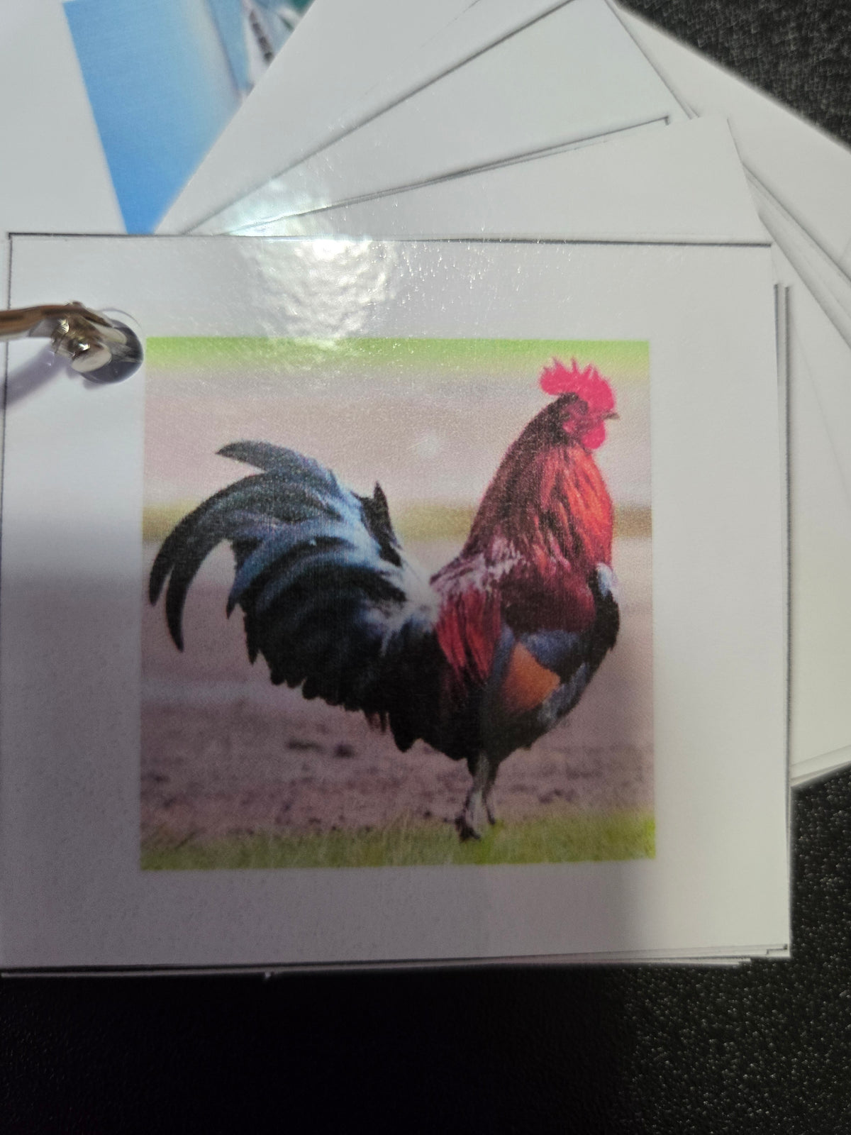 Tarjetas