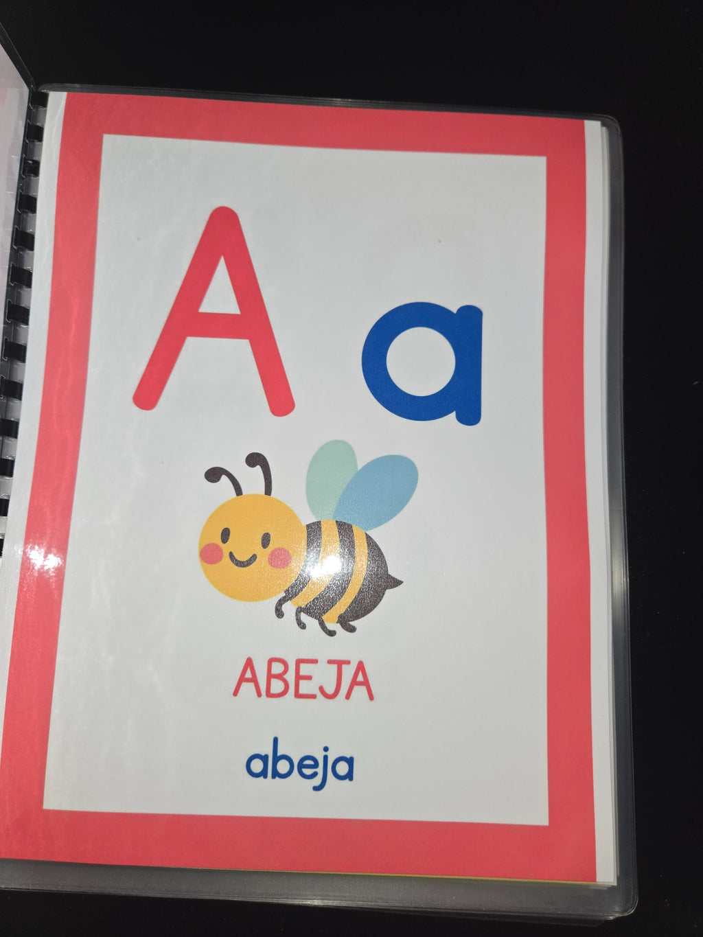 Cuaderno laminado (en espanol) del ABC