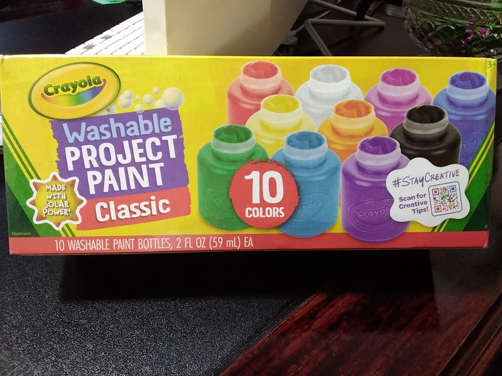 Washable project paint