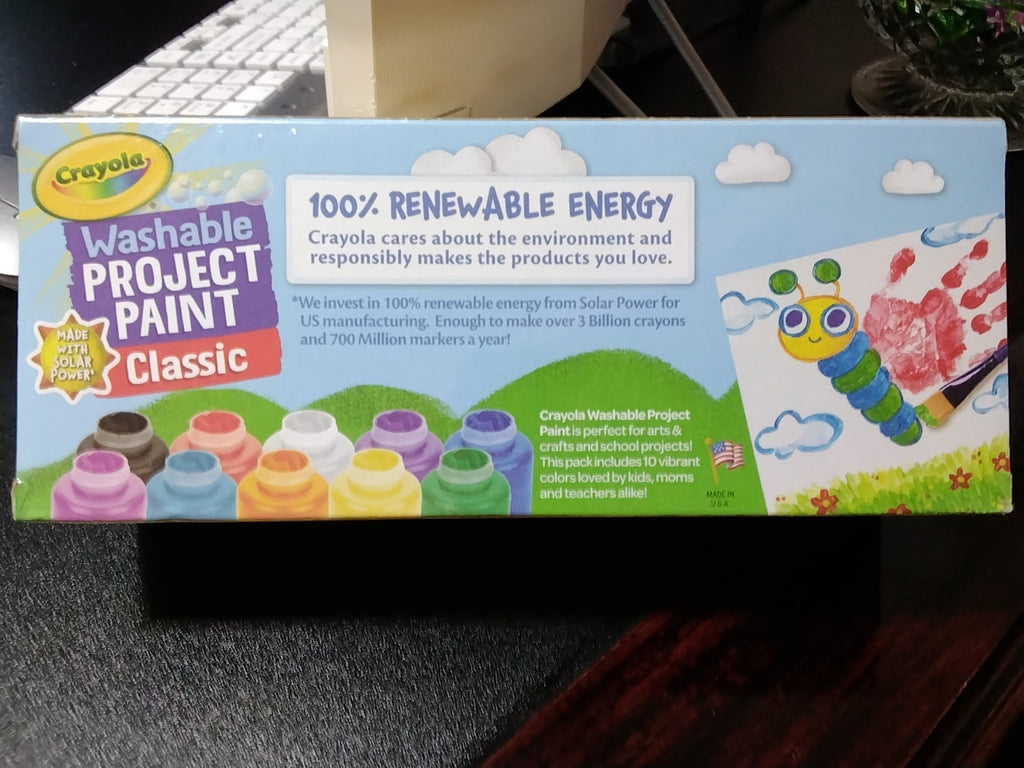 Washable project paint