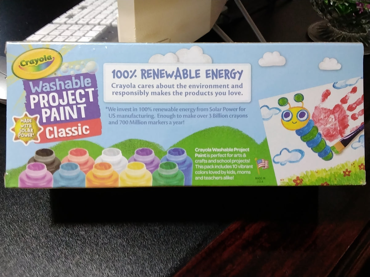 Washable project paint