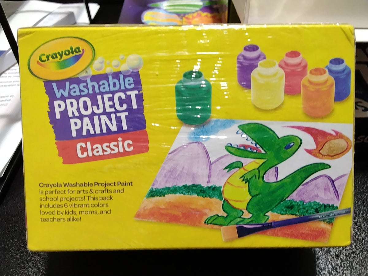 Washable project paint 6 bottles